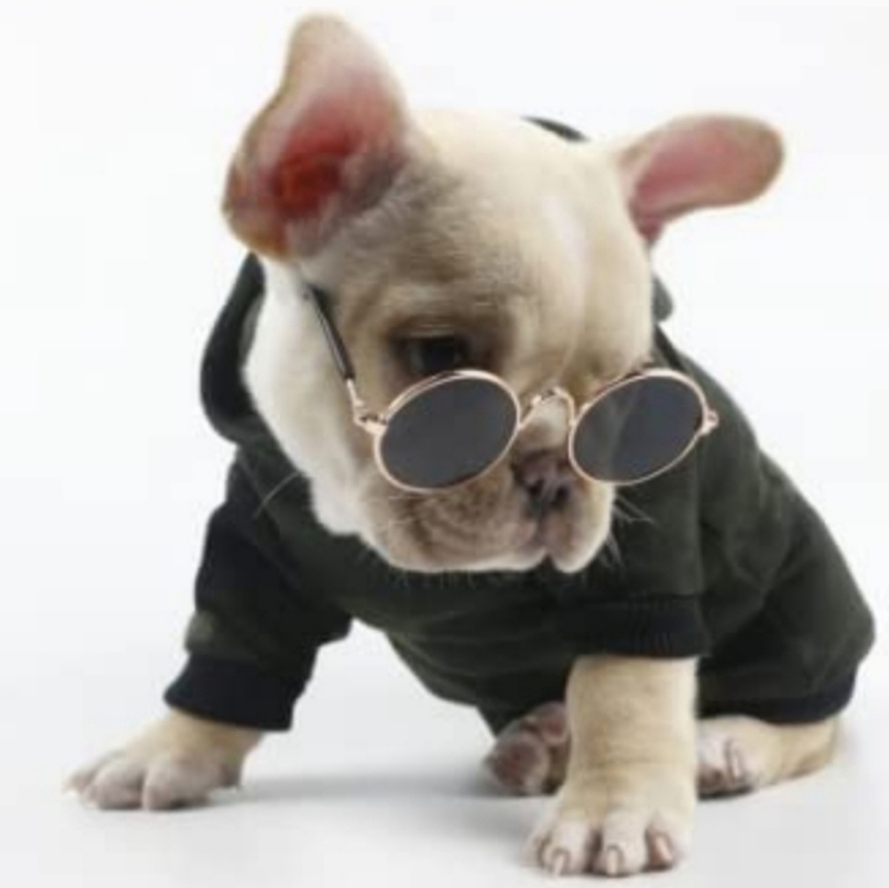 👓😸  Cool Yellow Cat Sunglasses